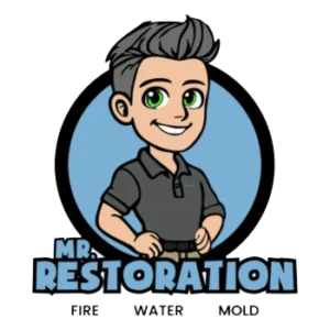 mr-restoration